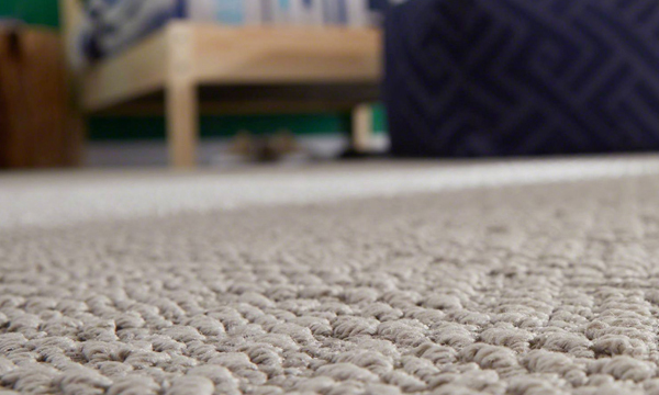 Carpet warehouse Wellington carpet flooring Porirua Upper Hutt